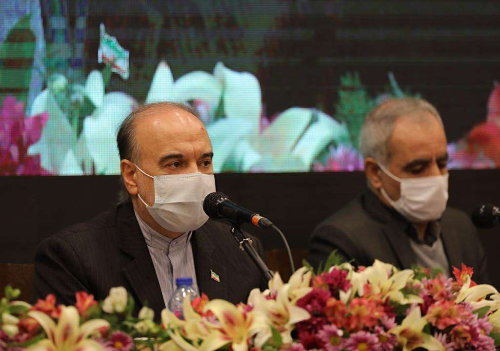 سلطانی فر: اساسنامه فدراسیون سند محکمی برای رشد فوتبال است